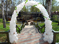 арка свадебная из воздушных шаров, на каркасе